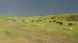 Steppenlandschaft in Südrussland