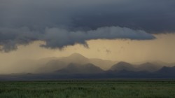 Gewitterwolken im Abendlicht