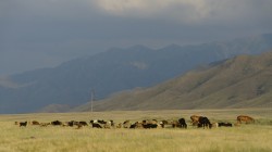 100 Kilometer vor Almaty