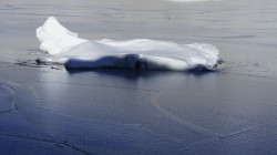 Eisschlolle auf dem Gletschersee